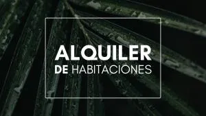 Ávila relax - Río Chico