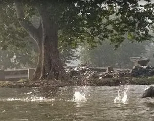 Manohar farm stay - Wodapatti