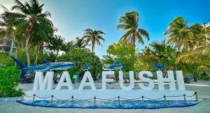 Maafushi Stay - 费利杜