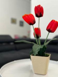 Yipstay Gopeng HomeTown