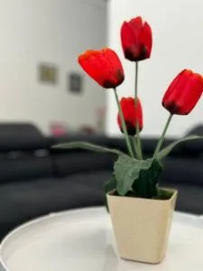 Yipstay Gopeng HomeTown - Gopeng