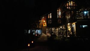 Into The Wild Manali