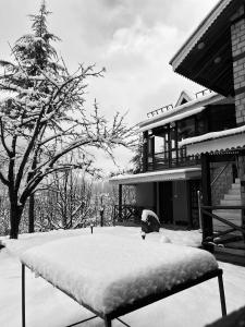Into The Wild Manali