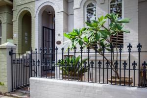 Art-Filled Designer Terrace in Chic Woollahra