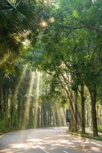 1BR King - Serein Homestay