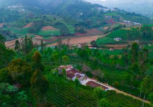 Silver Dale Tea Estate Bungalow Ooty by VOYE HOMES