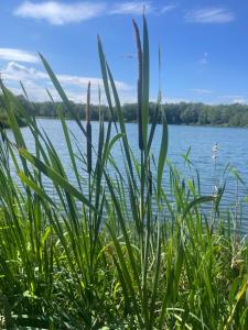 Lacuna VITA by Sonnevijver Residences