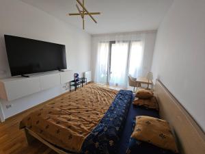 Vltava River Apartment