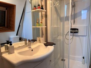 Appartements Le Cocon Alsacien au coeur de Rouffach : photos des chambres