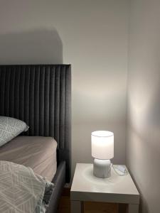 Appartements Spacious and modern loft with Balneo space : photos des chambres