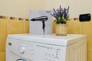 Appartamento con 1 Camera da Letto