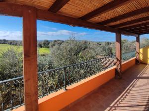 Il Fenicottero 2 img23