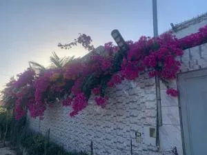 Villa Malya-Rez de chaussée Privé et indépendant avec deux chambres dans une maison- - Malikounda Sas