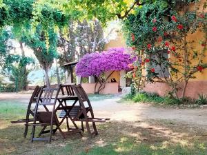MAS DE BERNIS - Masia