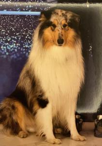 L'Essenza Hotel img55