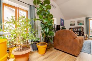 Jungalow - tidordognehomes