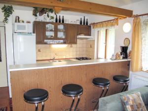 Villa Petříkov by Interhome