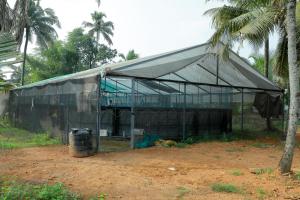 Mulanthanam resorts and Home stay