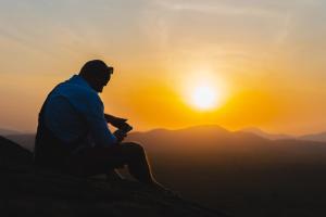 Elephant Trio Sigiriya