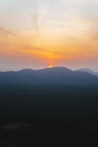 Elephant Trio Sigiriya