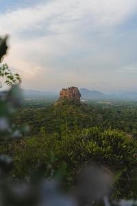 Elephant Trio Sigiriya