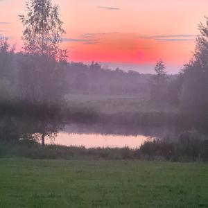 Domek Hynka