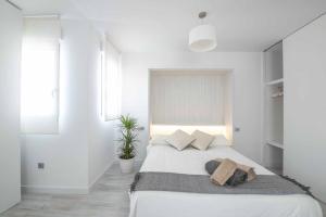 Apartamento y Terraza Puente Viejo junto a la Catedral