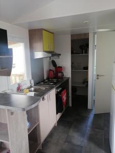 Campings MHVACANCES 2 LOUENT PLUSIEURS MOBILHOMES DANS CAMPING 4 ETOILES PROCHE CHATEAUX et ZOO BEAUVAL : photos des chambres