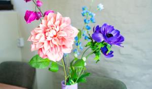 Vakantiewoningen Hoeve de Witte Olifant