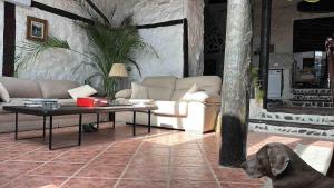 Casa Rural frente al Teide