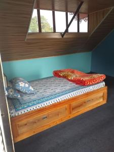The Black Conch Homestay, kalimpong Deolo