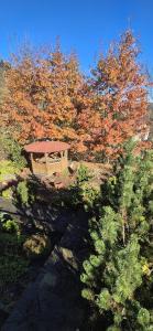 SOWIA CHATKA- Stryszawa - domek z jacuzzi