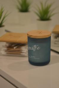 MSF Apartment Blauer Wolf