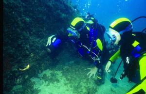 Apartamentos Cala Llevado