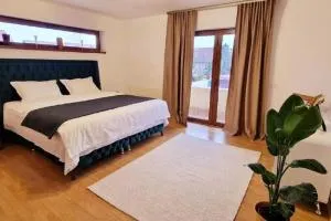 Erik's House Apartaments - Recaş