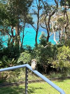 Clifftop Views Mollymook