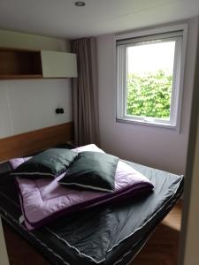 Campings MHVACANCES LOUENT PLUSIEURS MOBILHOMES DANS CAMPING 4 ETOILES PROCHE CHATEAUX et ZOO BEAUVAL : photos des chambres