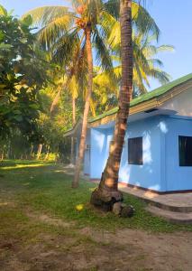 Colorful Tropical Bungalow
