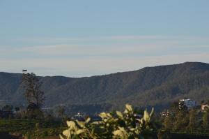 Lovers leap serenity