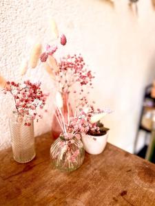 Hotels Logis Hotel La Feniere : photos des chambres