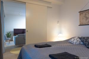 Apartment in the center with free parking