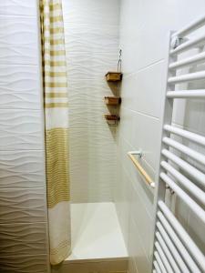 Appartements Les balcons du Lac - Studio Belle Vue : Appartement 1 Chambre