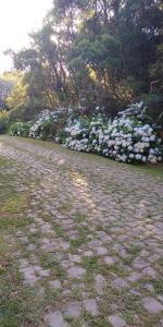 Alpes de são Francisco