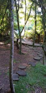 Alpes de são Francisco