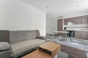 Budget appart avec parking au centre-ville - Saint-Marceau