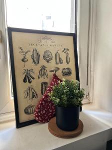 Old soul of Skadarlija