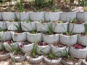 Shades Natures Valley