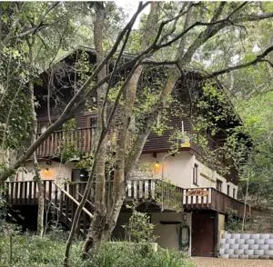 Shades Nature's Valley - Stormsrivier