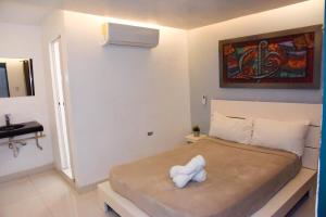 Hostel Gato Colonial