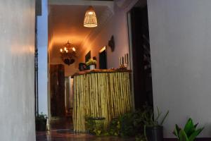 Hostel Gato Colonial